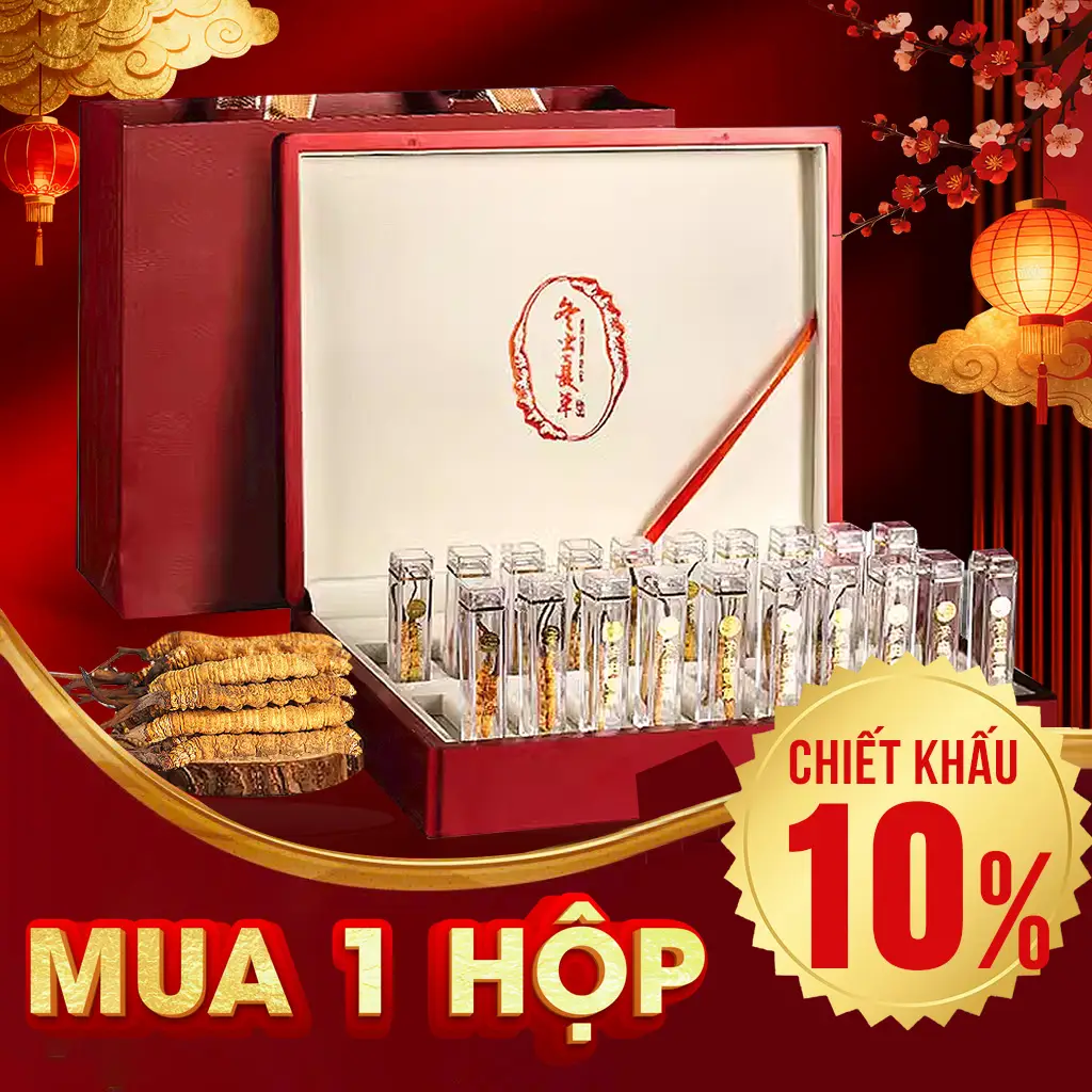 Đông Trùng Hạ Thảo Nguyên Con Đặc Biệt Loại 1 Hộp 20g D300-20V1