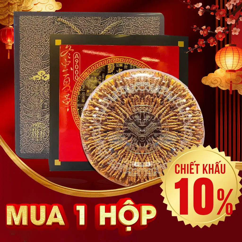 Đông Trùng Hạ Thảo Nguyên Con VIP1 Hộp 100g – Size 300
