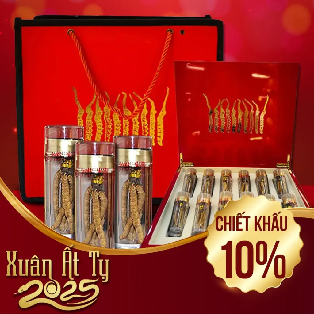 Đông Trùng Hạ Thảo Nguyên Con Cao Cấp Hộp 20g D200-20V1