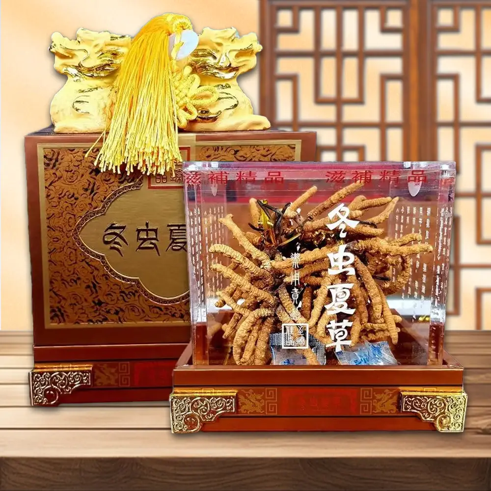 Con Đông Trùng Hạ Thảo Hộp Quà Biếu Chạm Rồng Cao Cấp 20g – D056