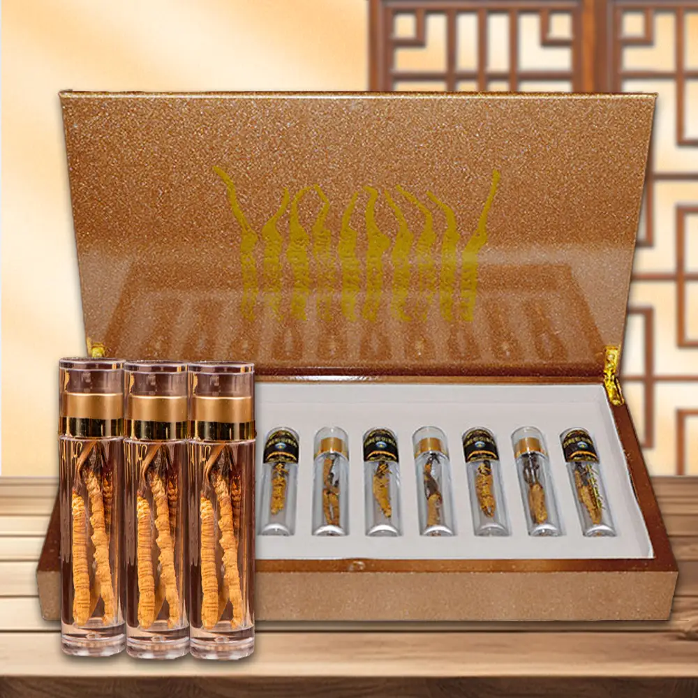 Con Đông Trùng Hạ Thảo Tây Tạng Loại Đặc Biệt 5g Hộp D300-5V1