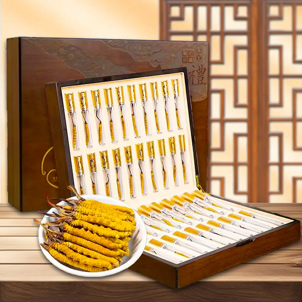 Đông Trùng Hạ Thảo Nguyên Con Tây Tạng Loại THƯỢNG HẠNG 20g/Hộp D054