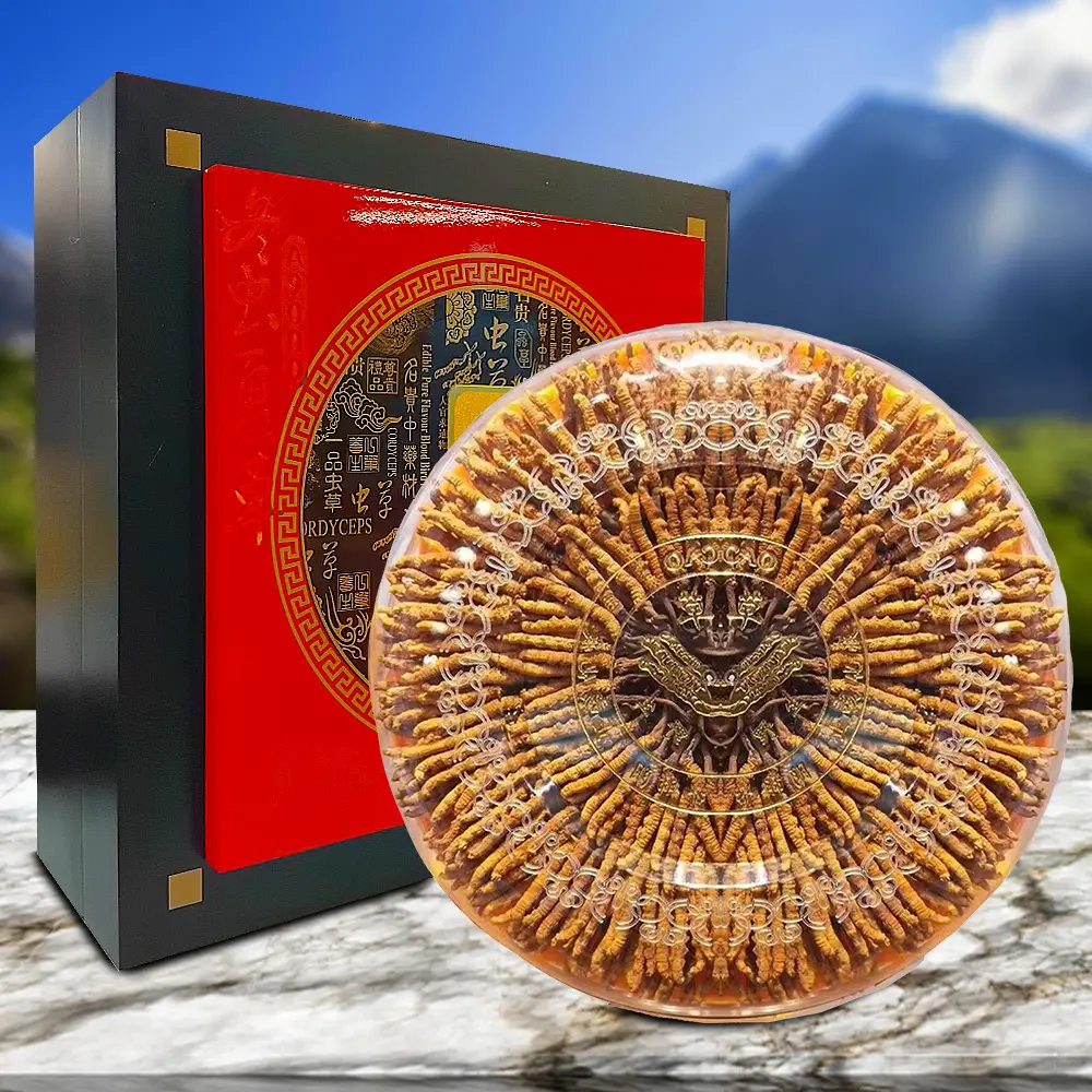 Đông Trùng Hạ Thảo Nguyên Con VIP 100gr/hộp D600-100V1