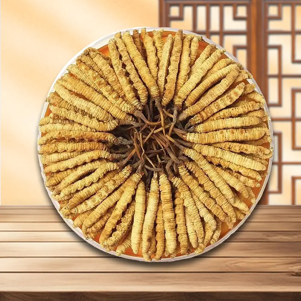 Đông Trùng Hạ Thảo Tây Tạng 100g Loại 1 – D500-100L1