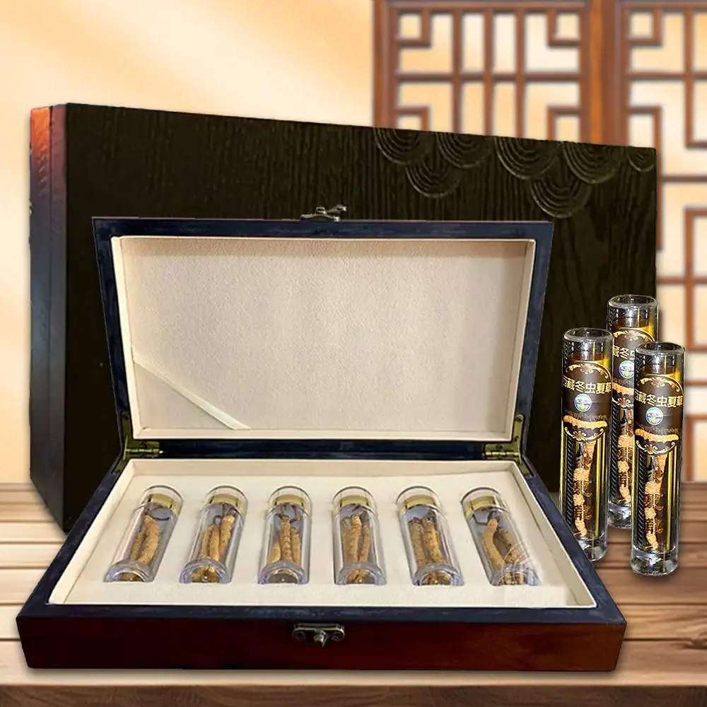 Đông Trùng Hạ Thảo Tây Tạng VIP 10grHộp D400-10V1