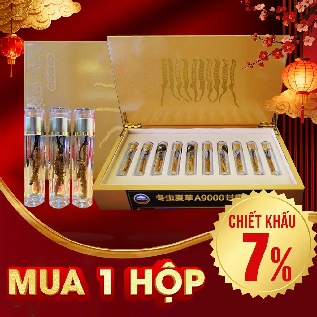 Con Đông Trùng Hạ Thảo Tự Nhiên VIP 5g/hộp D400-5V1