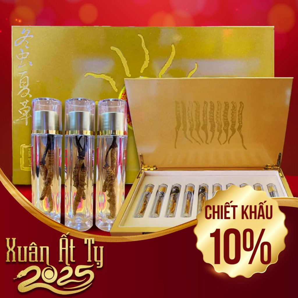 Con Đông Trùng Hạ Thảo Tự Nhiên VIP 5g/hộp D400-5V1