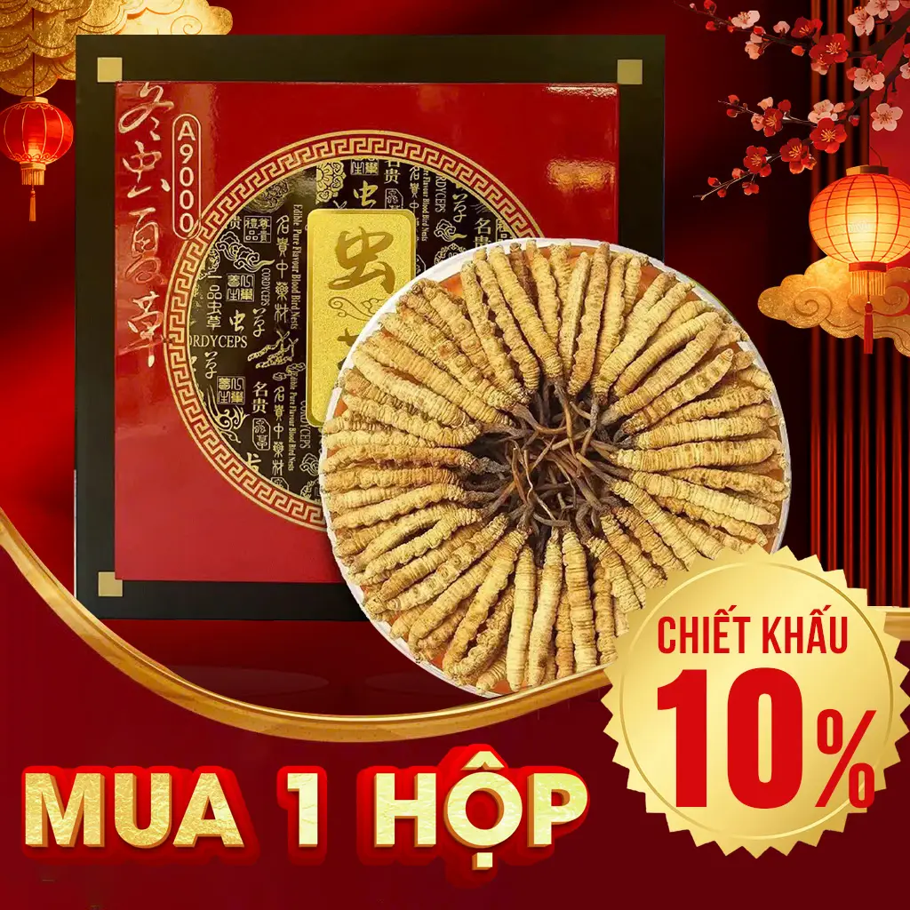 Đông Trùng Hạ Thảo Nguyên Con VIP1 Hộp 50g – Size 300 Con/ Lạng